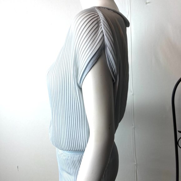 Anthropologie Bordeaux Semi Sheer Pleated Dress/Slip Lining - Picture 5 of 9